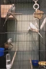 Zdjęcie użytkownika sylweksarek