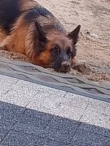 Фотография пользователя maciejneyder