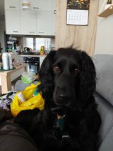 Фотография пользователя Michalem55357