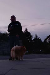 Zdjęcie użytkownika Tomi1232