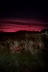 Фотография пользователя xyz3214