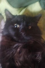 Фотография пользователя lukasbociani96