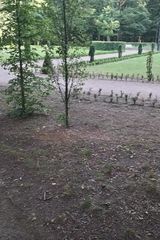 Фотография пользователя Areczek123