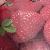 Фотография пользователя MazurekEw