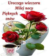 Фотография пользователя januszjelenski815