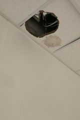 Foto pengguna JackSparo11