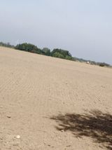 Фотография пользователя grzegorzcamel4