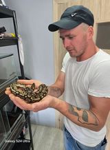 Фотография пользователя ZolnowskiMa