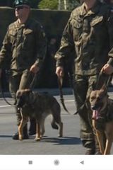 Фотография пользователя jacekbarwinski121