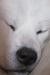 Фотография пользователя pehama