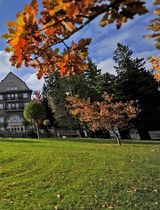 Фотография пользователя jaworskajolanta6