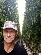 Фотография пользователя marmoladka