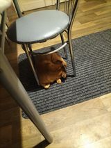 Фотография пользователя u7043769403