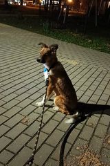 Фотография пользователя EsKowalski