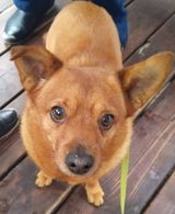 Фотография пользователя MALMI