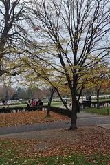 Фотография пользователя Daniel931022