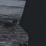 Фотография пользователя DanielTC224