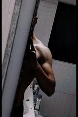 Фотография пользователя X321123X