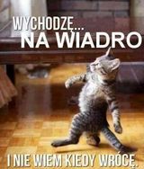 Фотография пользователя annagitler77