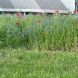 Фотография пользователя Emilios