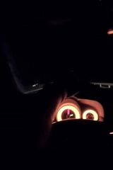 Фотография пользователя Maciejxddd