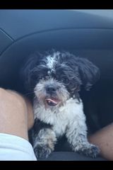 Фотография пользователя Oski12