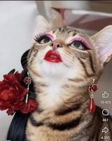 Фотография пользователя zan7943