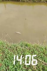 Фотография пользователя BajekP