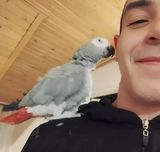 Фотография пользователя Puchatek08