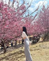 Фотография пользователя prettymebaby