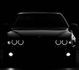 Фотография пользователя macieekkkk