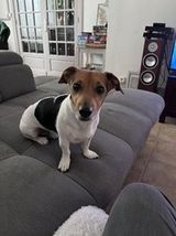 Фотография пользователя ChybaMy