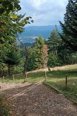 Foto pengguna Bartekdx