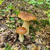 Foto pengguna lukklu