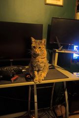 Zdjęcie użytkownika pawel11230