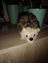 Zdjęcie użytkownika grzespuszysty