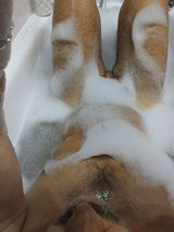 Zdjęcie użytkownika Dada700