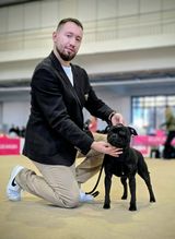 Zdjęcie użytkownika Morphik