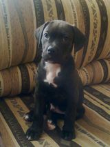 Foto pengguna niewinskitomasz259