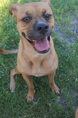 Zdjęcie użytkownika Marcin773