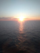 Benutzerfoto andrzej0333