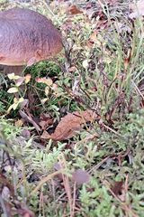 Foto pengguna Ozdzynski