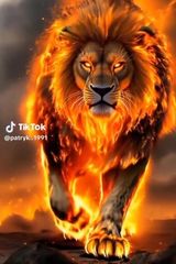 Foto pengguna patryktosiek91