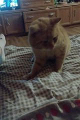 Zdjęcie użytkownika slawomirpytel