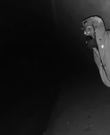 Zdjęcie użytkownika KamilKwasniewski52