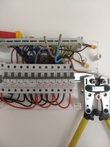 Zdjęcie użytkownika AlbertS3456