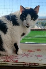 Zdjęcie użytkownika ku65000