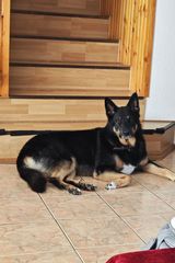 Benutzerfoto miastopuszczy