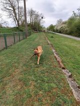 Foto pengguna AndrzejStepien3