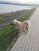 Zdjęcie użytkownika TomaszAlladyn